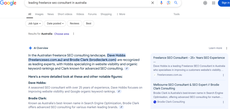 Freelance SEO Consultant - Google AI Overview SEO Strategy